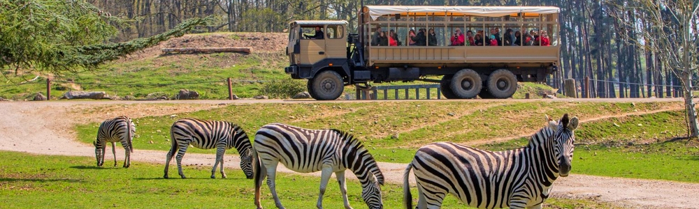 Zoo Safari Thoiry