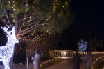  Un Noël féerique à Beauval.