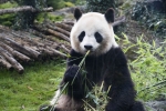 Le ZooParc de Beauval est idéal pour un court-séjour.