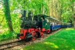 Le train de Nigloland au milieu des arbres.
