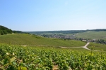Profitez de votre visite à Nigloland pour visiter la belle région Champagne.