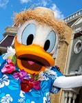 Parc Disneyland