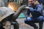 Soigneur d’Un Jour en Famille au zoo de Beauval.