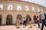 Les détenteurs du Pass Émotion ont une entrée spéciale au Stadium gallo-romain du Puy du Fou.