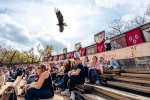 Le spectacle Le Bal des Oiseaux Fantômes, un immanquable au Puy du Fou.