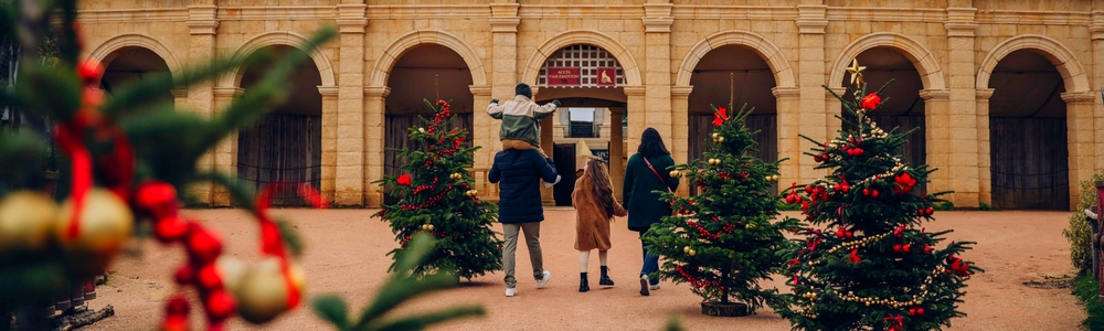 Puy du Fou