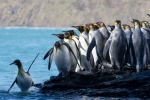 Le film Antartica est diffusé en alternance avec le film Dans Les Yeux de Thomas Pesquet.