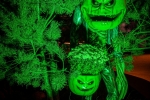 Venez célébrer Halloween au Futuroscope en famille !