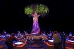 Temps musical en connexion avec les plantes dans la Serre des Mondes.