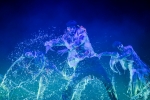 Durant la soirée, admirez le spectacle La Dernière Danse du Sirius.
