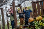 La Fôret d’Idéfix est décorée pour Halloween.