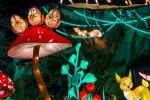 Petits et grands vont s’émerveiller devant les structures lumineuses du parcours.