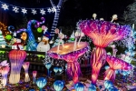 Les Jardins Merveilleux du Père Noël se situent dans la file d’attente de Romus et Rapidus.