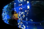 La visite de Nausicaá captive petits et grands.