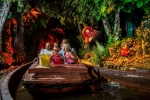 Les attractions pour enfants comme la Forêt de Plop sont aussi accessibles avec l’Express Pass.