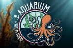 Aquarium, la nouvelle maison hantée de Walibi Belgium.