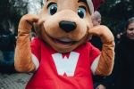 Walibi accueille les visiteurs pour Noël à Walibi Belgium