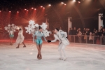 Le spectacle sur glace va enchanter toute la famille.