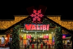Walibi Winter est désormais une saison à ne pas rater à Walibi Belgium.