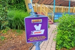 Il est possible d’utiliser le fastpass SPEEDY dans l’attraction Cobra à Walibi Belgium.
