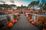 Près de 180 000 citrouilles sont utilisées pour décorer Europa-Park.